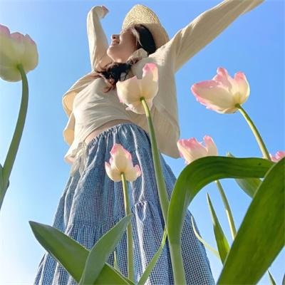 狄仁杰断案传奇第一部